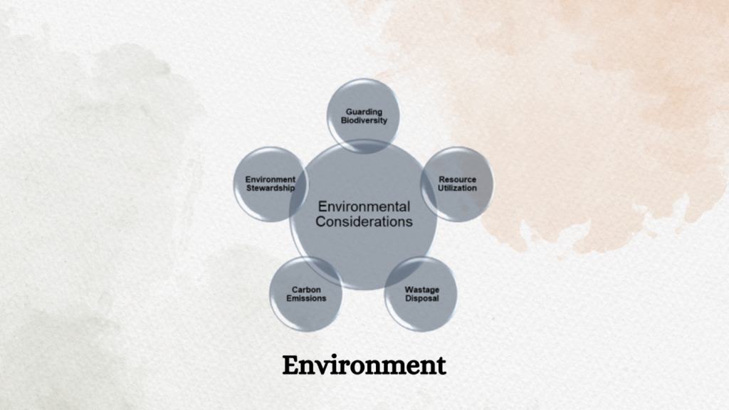 Environment-ESG Meaning