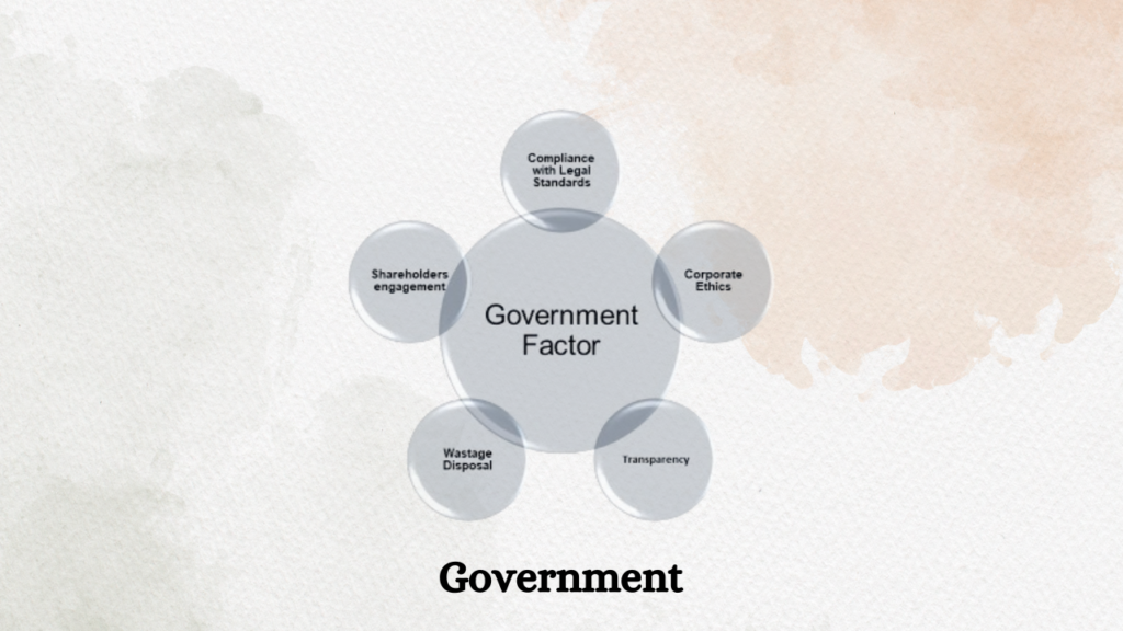 Government-ESG Meaning