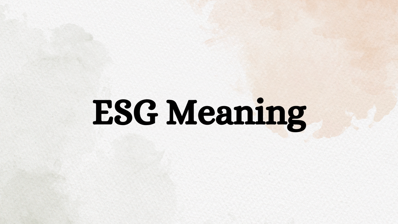 ESG Meanings