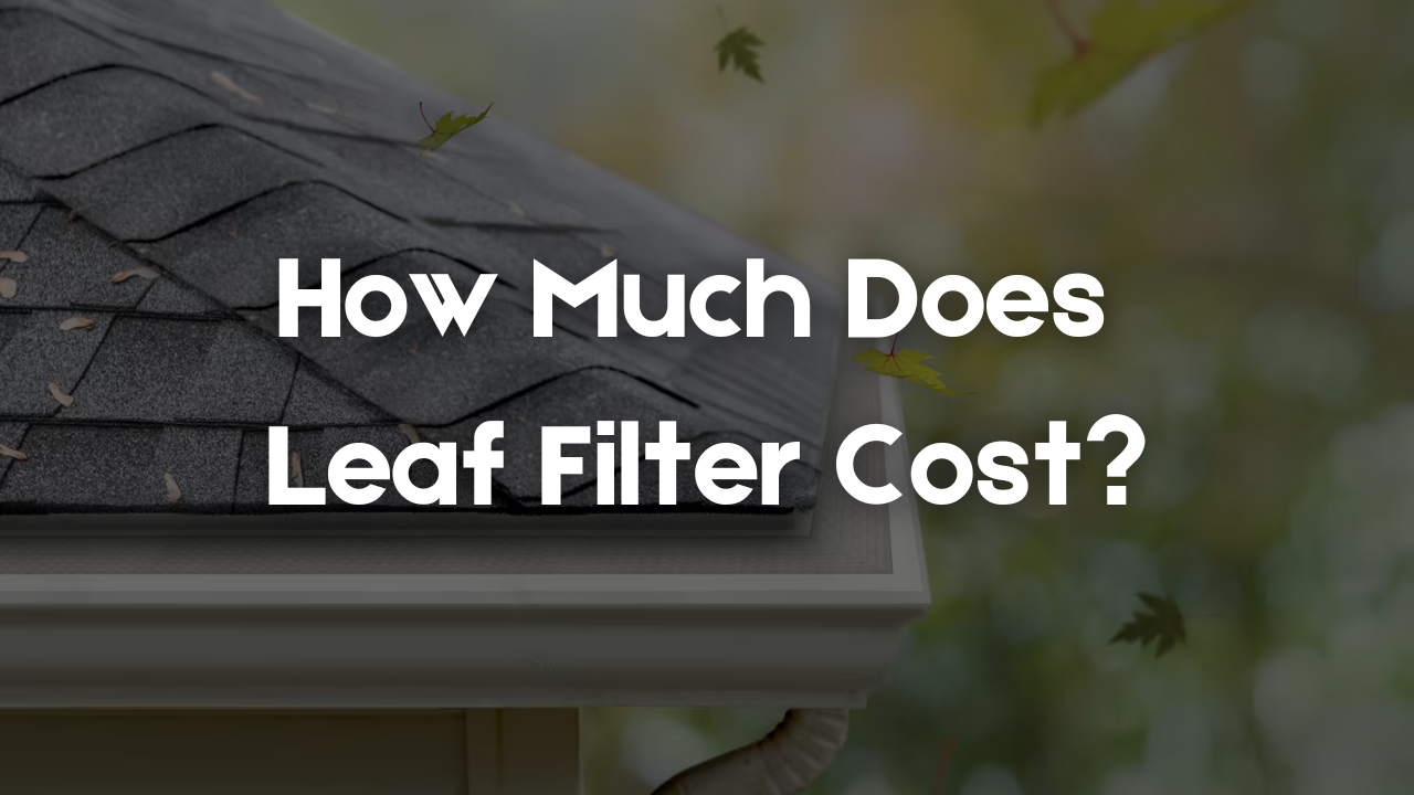 How Much Does Leaf Filter Cost?