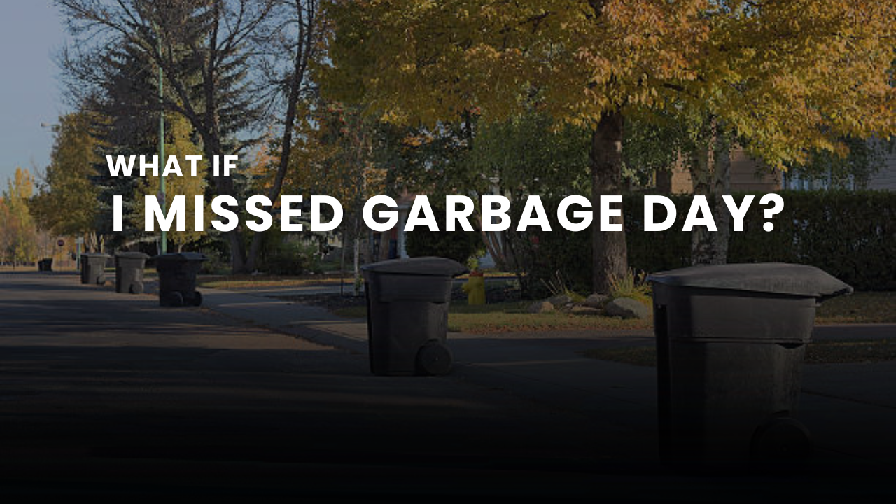 What If I Missed Garbage Day? | Next Steps & Solutions