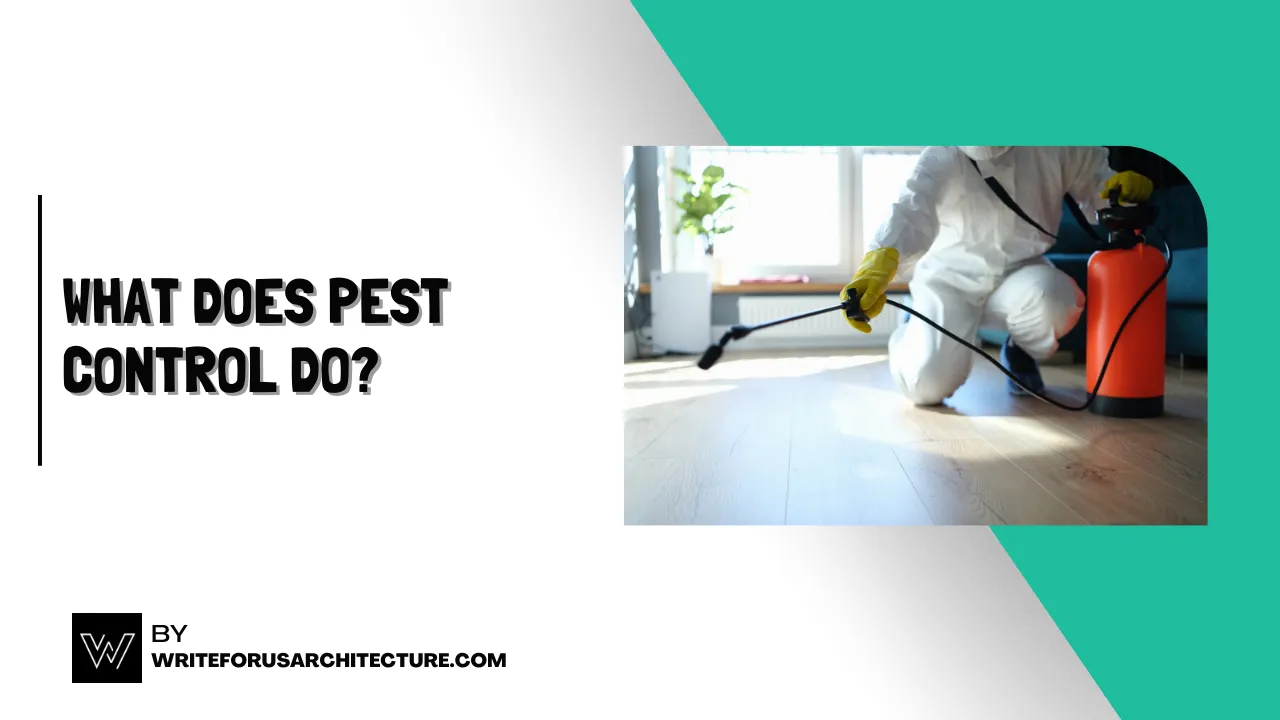 What Does Pest Control Do